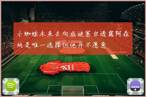 小蜘蛛未来去向成谜塞尔透露阿森纳是唯一选择但他并不愿意