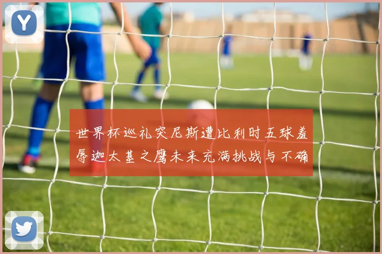 世界杯巡礼突尼斯遭比利时五球羞辱迦太基之鹰未来充满挑战与不确定性